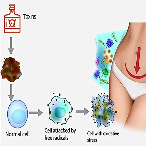 FemiPure Anti-Itch Detox Slimming Capsule Suppository,AnnieCare Instant Anti-Itch Detox tsoneooBuy Supplements Australia