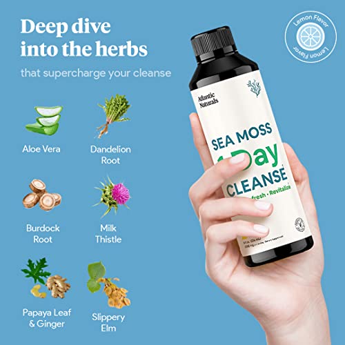 Sea Moss 1 Day Cleanse - Full Body Detox to support bowel movements, Kidney Health Atlantic NaturalsBuy Supplements Australia