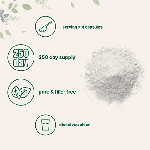 Pure L Serine Powder, 500 Grams (250 Day Supply), Filler Free, Supports Production Micro IngredientsBuy Supplements Australia