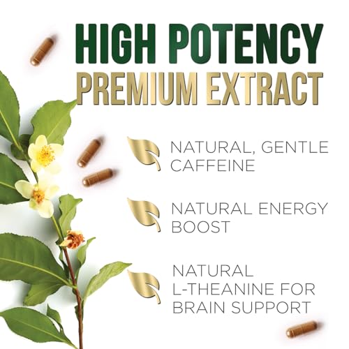 Nature's Green Tea Extract Pills 98% Standardized EGCG 1000mg - 3X Strength for Natural Nature's NutritionBuy Supplements Australia