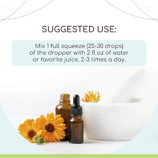 Barberry Root B120 Alcohol-Free Herbal Extract Tincture, Concentrated Liquid Drops Natural Barberry HerbEraBuy Supplements Australia