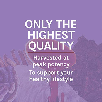 Host Defense, Lion's Mane Capsules, Promotes Mental Clarity, Focus and Memory Host DefenseBuy Supplements Australia