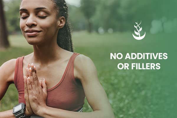 PURE ORIGINAL INGREDIENTS Yerba Mate (365 Capsules), No Magnesium Or Rice Fillers PURE ORIGINAL INGREDIENTSBuy Supplements Australia