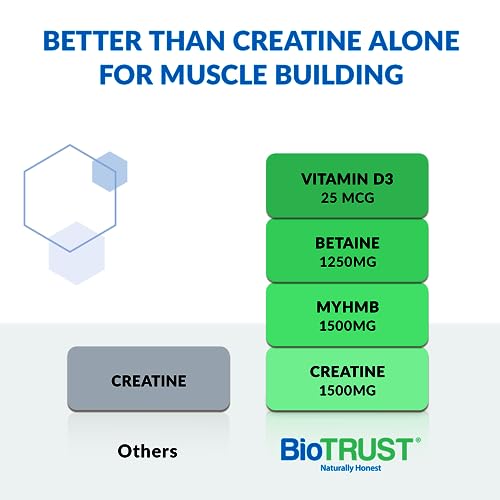 BioTrust Ageless Muscle Builder - Micronized Creatine Monohydrate Powder with HMB BioTrustBuy Supplements Australia