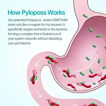5-in-1 High Potency H. Pylori Probiotic, 1 Per Day - Supports Gastric Lining Integrity, Occasional Indigestion, Acid Comfort - Pylopass Lactobacillus Reuteri, Gluten Free, Vegan, 30ct, Made in Germany - Maple Wellness Supplements