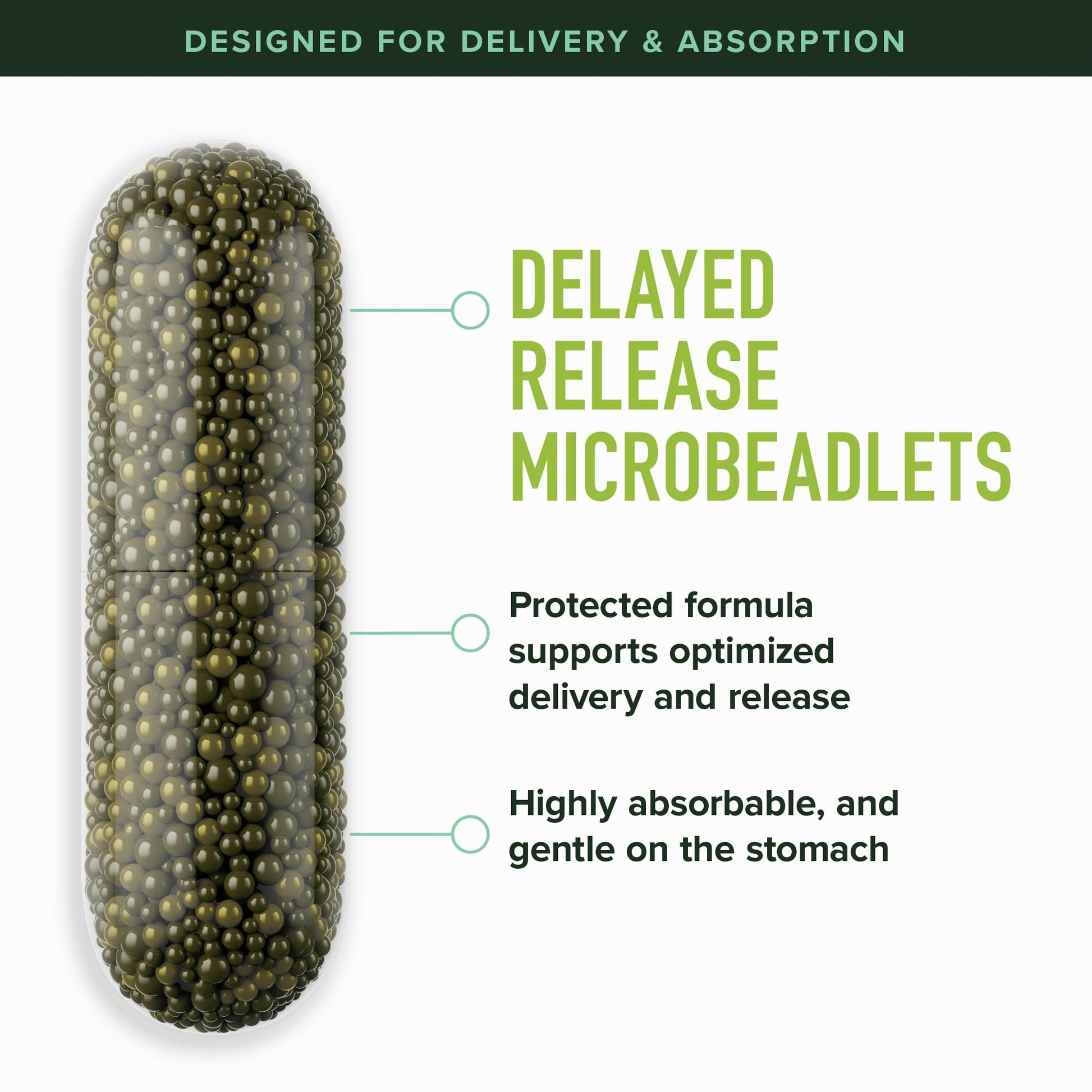 50MG Sulforaphane Supplement from Broccoli Sprouts | NRF2 Activation, Cellular Health & Immune Support | Glucoraphanin, Myrosinase & Antioxidants | Third-Party Tested - Maple Wellness Supplements