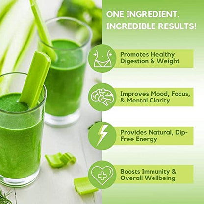 Organic Celery Juice Powder (40 Servings) Supports Gut Health, Detox Juice Cleanse Paradise Naturals, Purest Ingredients from the SourceBuy Supplements Australia