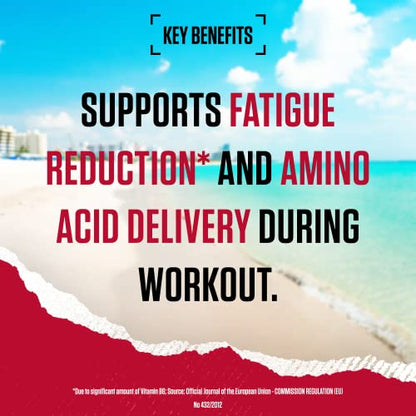 BSN Nutrition Amino X Supplement with Vitamin D, Vitamin B6 and Amino Acids BSNBuy Supplements Australia