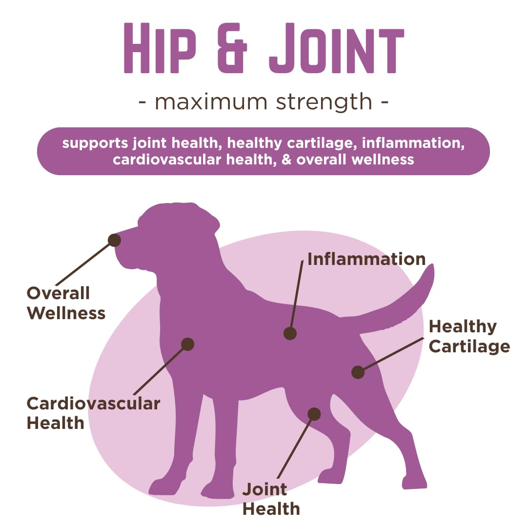 Dr. Joseph's VetPro Complete Dog Hip & Joint Supplement for Arthritis Pain Relief – High-Strength Glucosamine & Chondroitin Chews for Senior Dogs – Vet Formulated Daily Treats, Chicken Flavor, 120 Ct VetPro CompleteBuy Supplements Australia