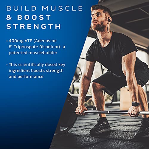MuscleTech Muscle Building Supplements for Men & Women - Nitric Oxide MuscleTechBuy Supplements Australia