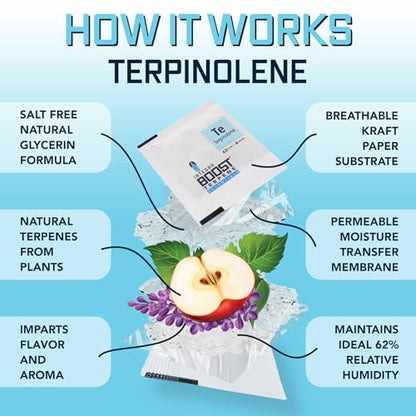 Integra Boost - Terpinolene Infusion - 4 Gram Terpene Essentials Two-Way Humidity Control at 62 Percent RH Integra BoostBuy Supplements Australia