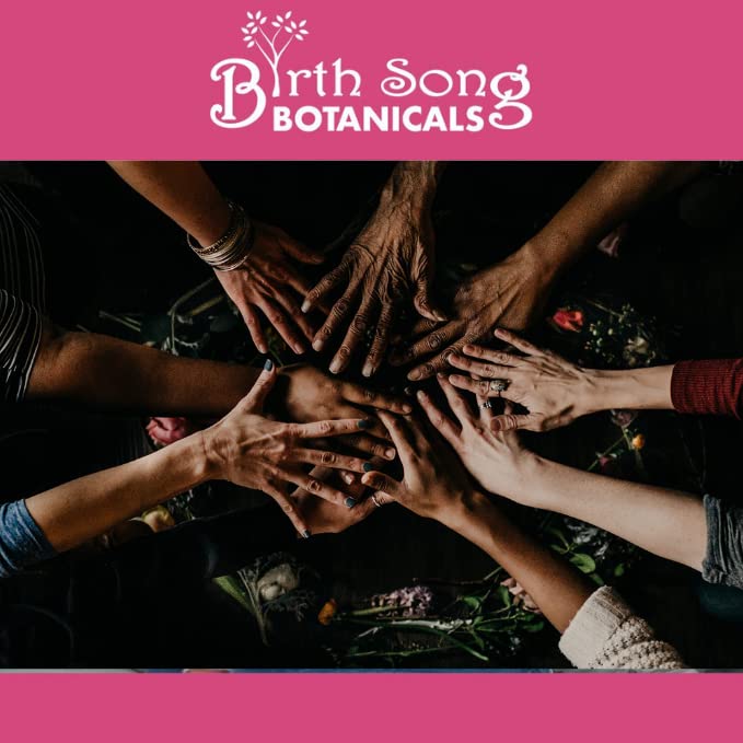 Birth Song Botanicals Menstrual Harmony Tincture, Herbal Period Symptom Support Birth Song BotanicalsBuy Supplements Australia