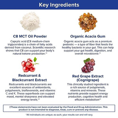 Gundry MD MCT Wellness Powder to Support Energy, Ketone Production and Brain Health Gundry MDBuy Supplements Australia