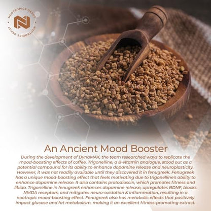Nootropics Depot Fenugreek Extract Capsules | 500mg | 60 ct | 2.5% Trigonelline Nootropics DepotBuy Supplements Australia