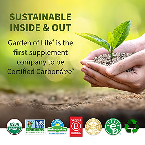 Garden of Life Super Seed - Vegetarian Whole Food Fiber Supplement with Protein and Omega 3 Garden of LifeBuy Supplements Australia
