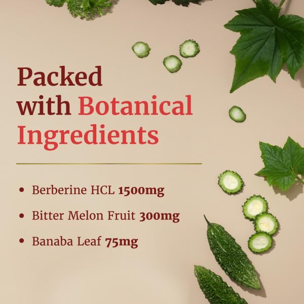 Berberine HCL 1500mg for Weight Management | Botanical Keto Inducing Berberine Supplement Nobi NutritionBuy Supplements Australia