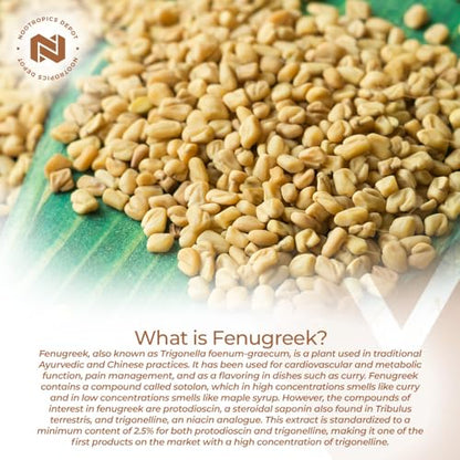 Nootropics Depot Fenugreek Extract Capsules | 500mg | 60 ct | 2.5% Trigonelline Nootropics DepotBuy Supplements Australia
