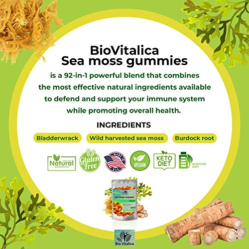 Sea Moss Gummies - Irish sea Moss raw Organic, Bladderwrack, Burdock Root BIO VITALICABuy Supplements Australia