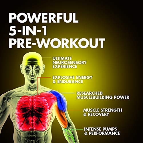 Pre Workout Powder | MuscleTech Vapor X5 for Men & Women, Energy Drink Mix Sports MuscleTechBuy Supplements Australia