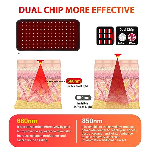 Red Light Therapy Infrared Light Therapy for Muscle Pain Relief and Inflammation Red Light Therapy Belt DYUFBuy Supplements Australia