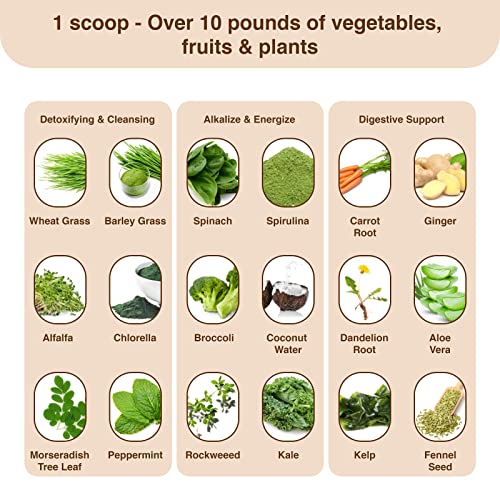 Detox Organics Chocolate Superfood Powder, Detox Cleanse for your Body, Bloating Relief Detox OrganicsBuy Supplements Australia