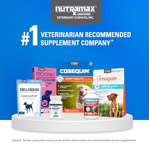 Nutramax Cosequin for Dogs Joint Health Supplement, Contains Glucosamine for Dogs, Plus Chondroitin, MSM and HA, Supports Healthy Joints, Chewable Tablets, 75 Count Nutramax LaboratoriesBuy Supplements Australia