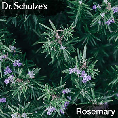 Brain Formula 2 oz. - Vegan and Wild-Harvested | Stimulates Circulation and and Improved Dr. Schulze'sBuy Supplements Australia