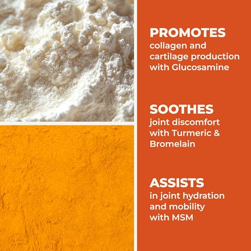 LifeSeasons Mobili-T - Joint Support Supplement - Reduces Aches & Discomforts - Increase Range of Motion - Rebuild Tissue & Cartilage - MSM Chondroitin Collagen Glucosamine & Turmeric - 120 Capsules LifeSeasonsBuy Supplements Australia