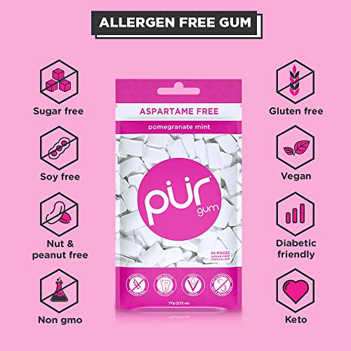 PUR Gum | Aspartame Free Chewing Gum | 100% Xylitol | Natural Pomegranate PURBuy Supplements Australia