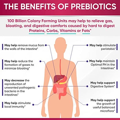 Dr. Formulated Raw Probiotics for Women 100 Billion CFUs with Prebiotics Wholesome WellnessBuy Supplements Australia