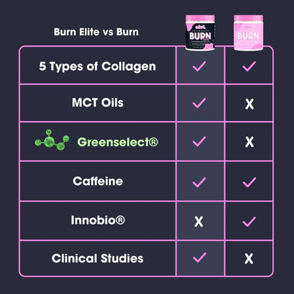 Obvi Burn Elite, Collagenic Thermogenic for Weight Loss, Boost Energy and Focus ObviBuy Supplements Australia