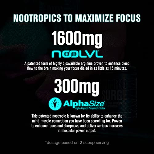 Jacked Factory Nitrosurge Max Nootropic Pre Workout Powder - Premium Pre Workout Jacked FactoryBuy Supplements Australia