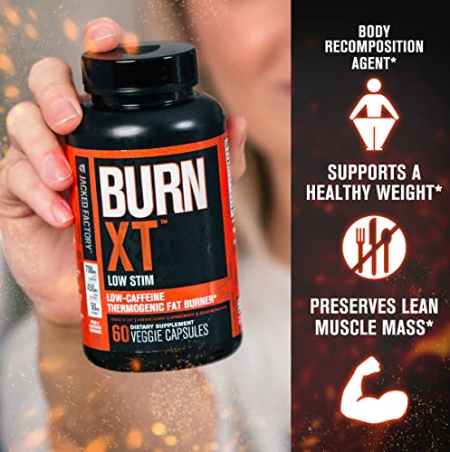 Jacked Factory Burn-XT Low Caffeine, Low Stim Weight Loss Supplement Jacked FactoryBuy Supplements Australia
