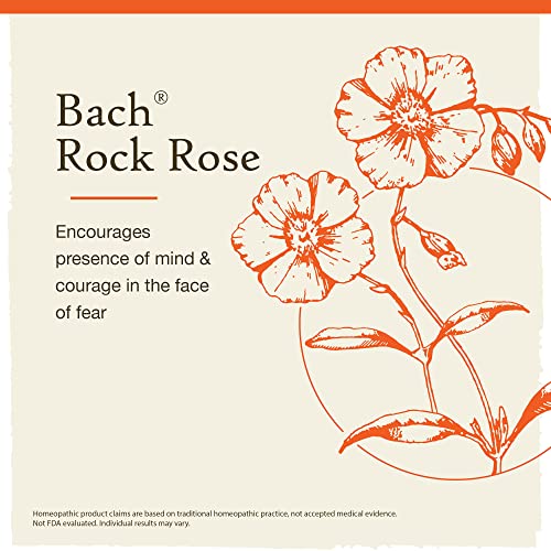 Bach Original Flower Remedies, Rock Rose for Courage (Non-Alcohol Formula), Natural Homeopathic BachBuy Supplements Australia