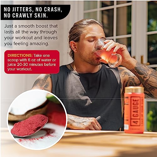 4 Gauge Natural Preworkout Without The Jitters | 30 Servings | Nitric Oxide Booster 4 GaugeBuy Supplements Australia