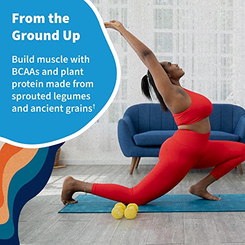 Garden of Life Organic Vegan Vanilla Protein Powder 22g Complete Plant Based Raw Protein Garden of LifeBuy Supplements Australia