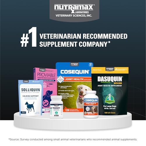 Nutramax Dasuquin for Large Dogs, Joint Health Supplement, Contains Glucosamine for Dogs, Plus Chondroitin, ASU and More, Supports Healthy Joints, Soft Chews, 150 Count Nutramax LaboratoriesBuy Supplements Australia