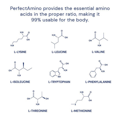 BodyHealth PerfectAmino (150 ct) Easy to Swallow Tablets, Essential Amino Acids Supplement with BCAAs, Vegan Protein for Pre/Post Workout & Muscle Recovery with Lysine