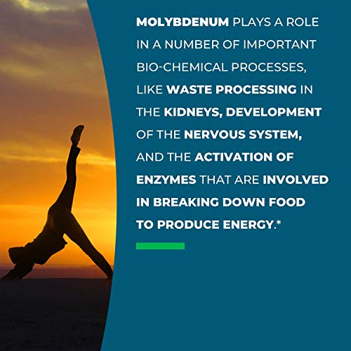 Seeking Health Molybdenum 500, Molybdenum Glycinate Chelate Supplement Seeking HealthBuy Supplements Australia