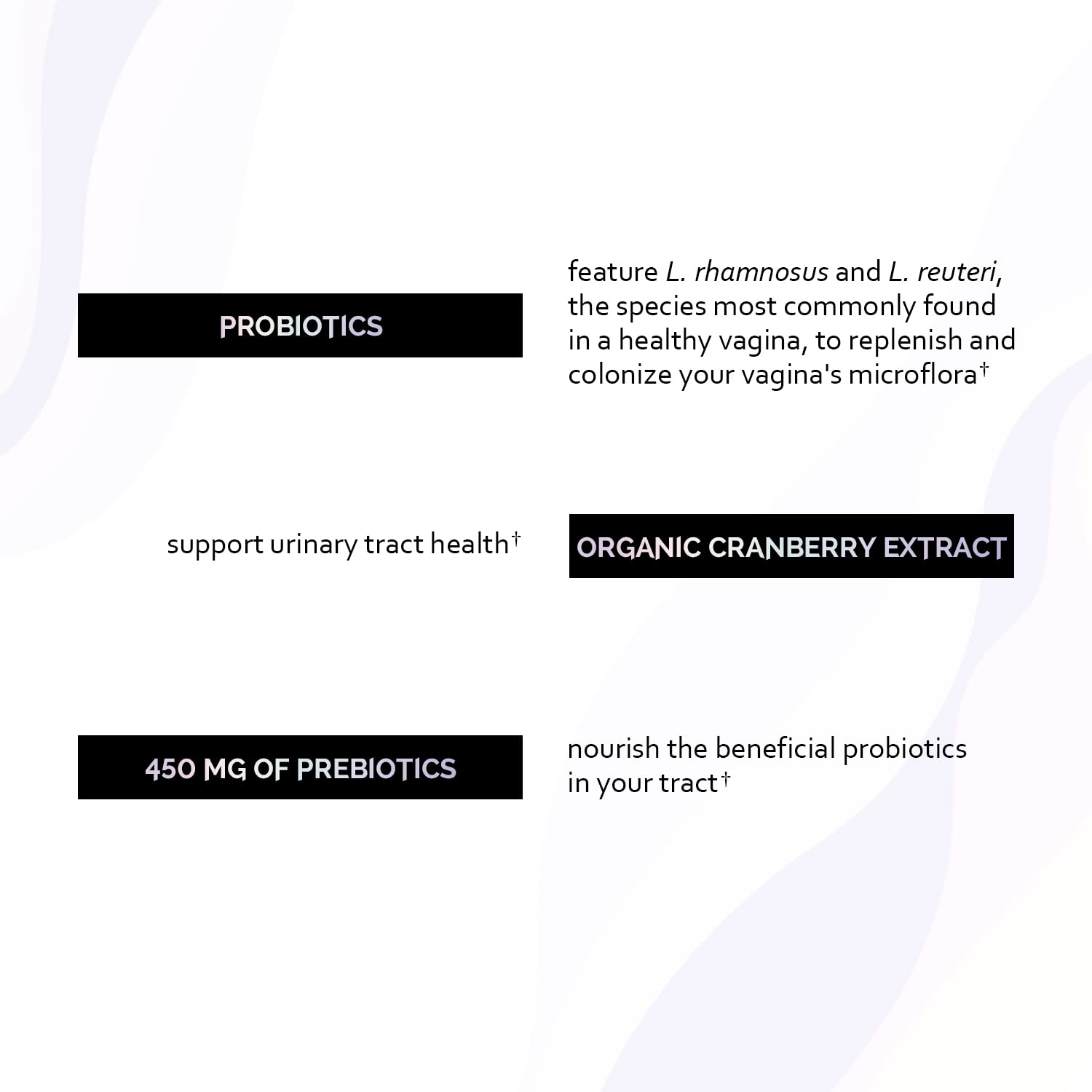 Undone By Nature Probiotic for Women, 50 Billion CFU Women's Probiotics with Prebiotics Undone By NatureBuy Supplements Australia