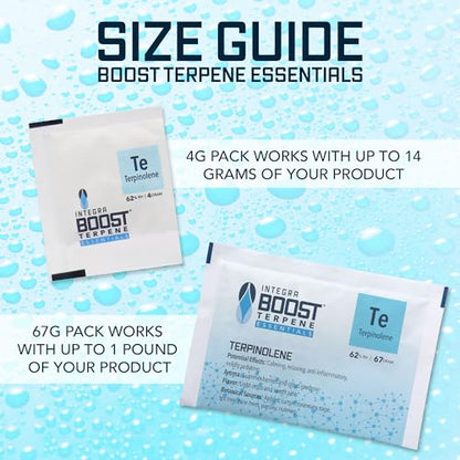 Integra Boost - Terpinolene Infusion - 4 Gram Terpene Essentials Two-Way Humidity Control at 62 Percent RH Integra BoostBuy Supplements Australia