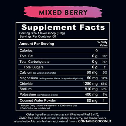 REDMOND Re-Lyte Hydration Electrolyte Mix (Mixed Berry) REDMONDBuy Supplements Australia