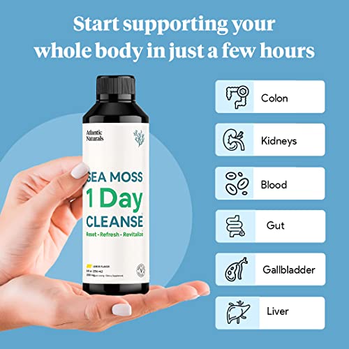 Sea Moss 1 Day Cleanse - Full Body Detox to support bowel movements, Kidney Health Atlantic NaturalsBuy Supplements Australia