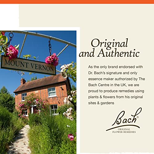 Bach Original Flower Remedies, Rock Rose for Courage (Non-Alcohol Formula), Natural Homeopathic BachBuy Supplements Australia