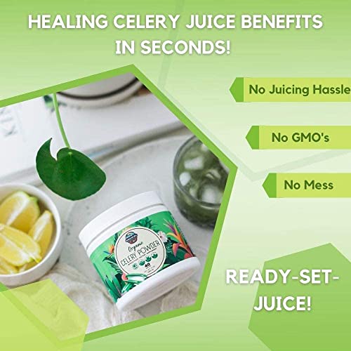 Organic Celery Juice Powder (40 Servings) Supports Gut Health, Detox Juice Cleanse Paradise Naturals, Purest Ingredients from the SourceBuy Supplements Australia