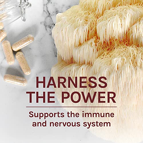 Host Defense, Lion's Mane Capsules, Promotes Mental Clarity, Focus and Memory Host DefenseBuy Supplements Australia