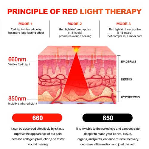 Red Light Therapy Belt Vibrating for Muscle Recovery and Pain Relief DYUFBuy Supplements Australia
