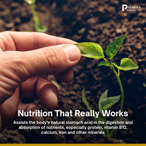 Premier Research Labs Galactan - Prebiotics for Regularity & Healthy Microbiome Premier Research LabsBuy Supplements Australia