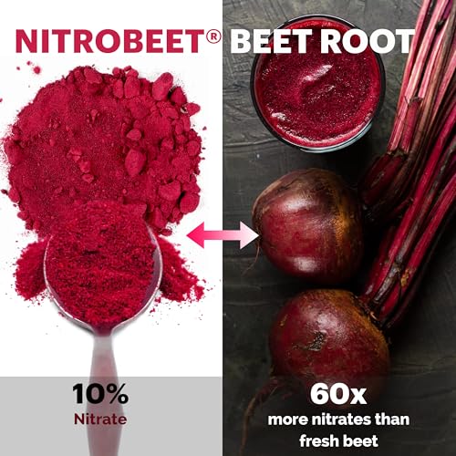 UpNourish Beet Root Powder Nitric Oxide Booster - L arginine L Citrulline Supplements UpNourishBuy Supplements Australia