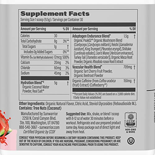 Sunwarrior Plant-Based Preworkout Powder Hydration Blend | Coconut Water Mushroom Blend Soy Free Sugar Free Gluten Free Dairy Free Synthetic Free | Watermelon Wave 30 Servings | Sport Active Energy